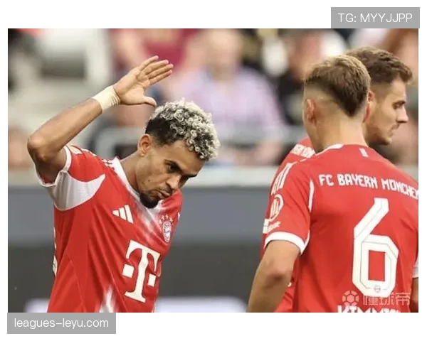 德甲夏窗引援白热化,各队竞逐新星强化阵容 德甲夏窗引援白热化,各队竞逐新星强化阵容