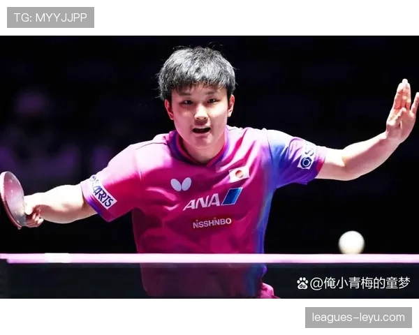 张本智和家里装修比他比赛还讲究，这才是真正富二代的日常吧？